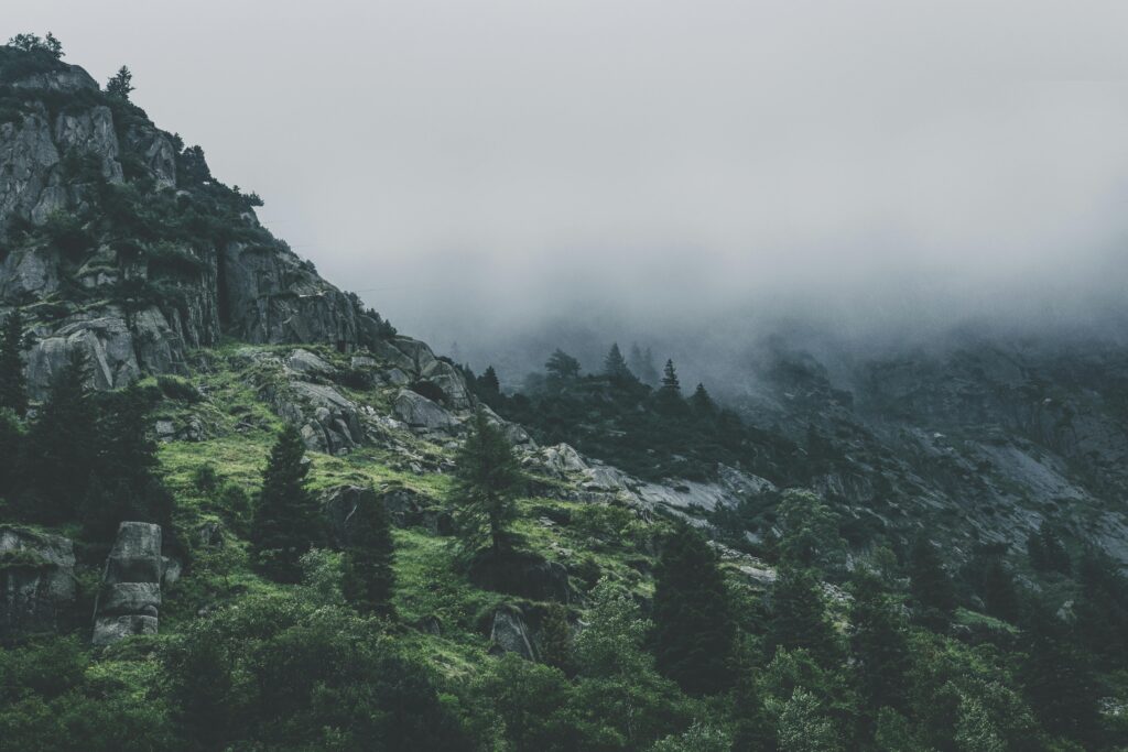 pexels-photo-167684-167684 Scenic view of a fog-covered mountain with lush pine trees and rocky terrain.